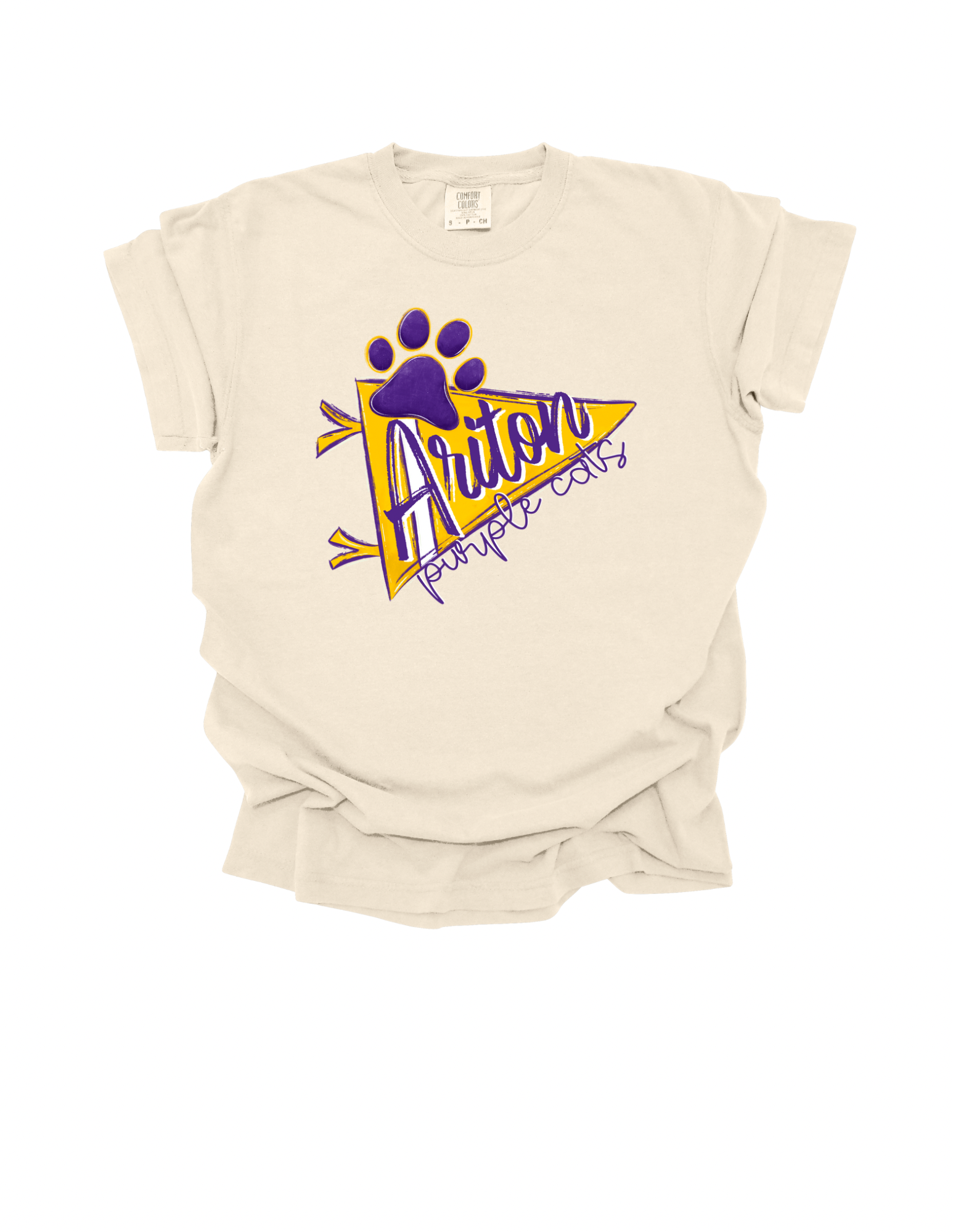 2025 Ariton Spirit Pennant